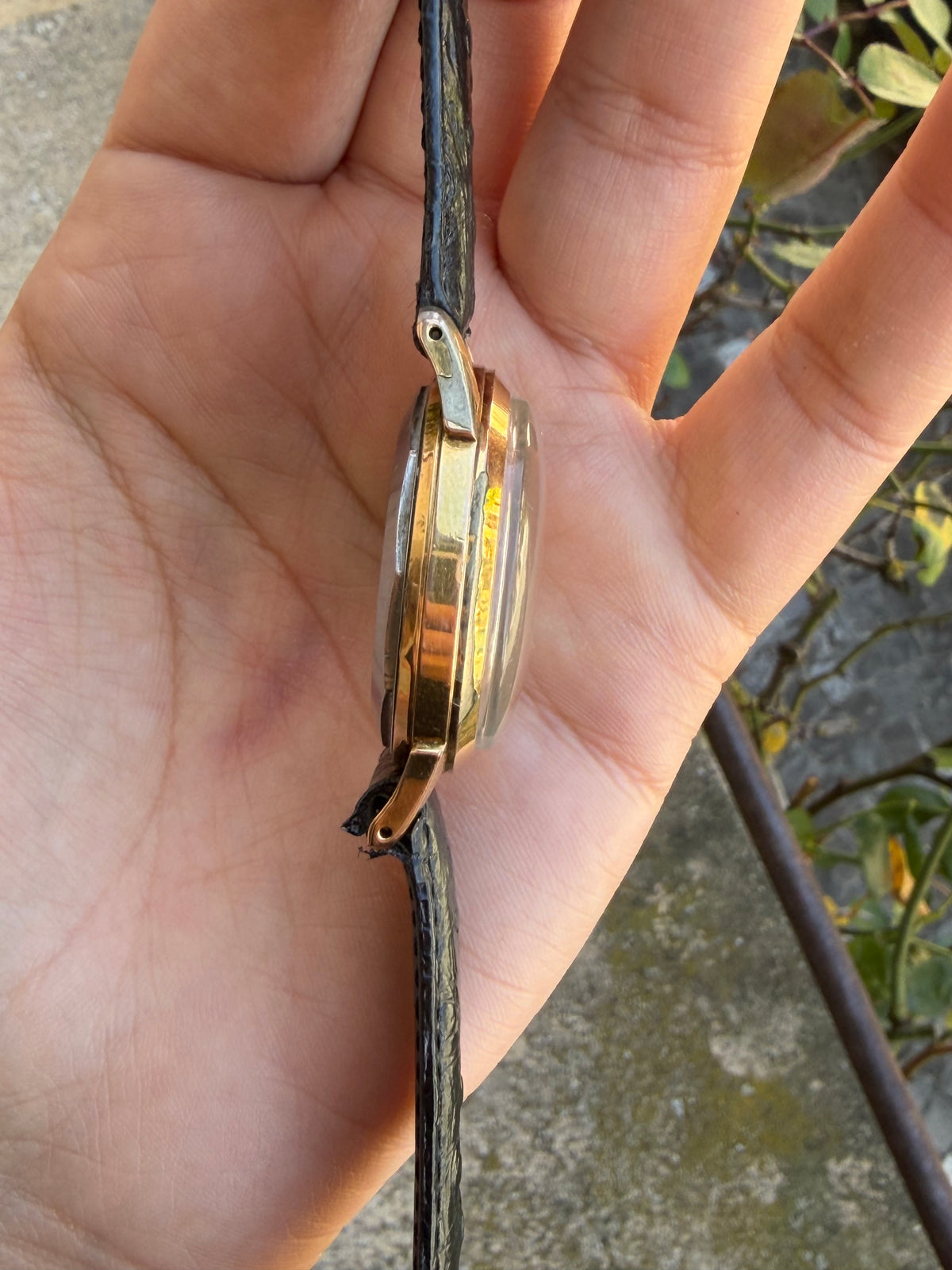 Angelus Datographe - 1960's Datographe