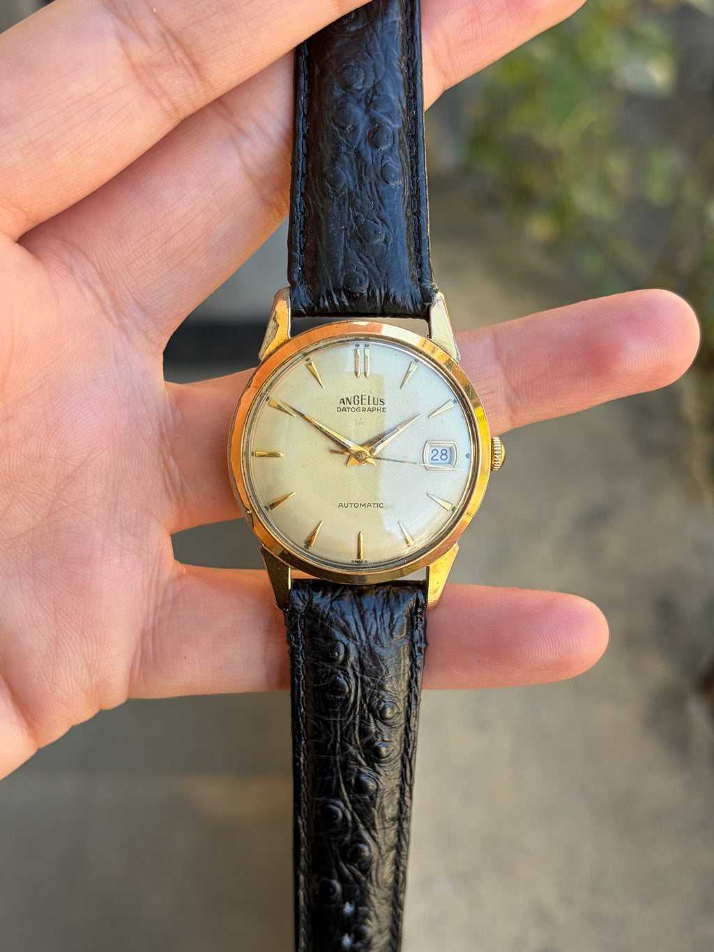Angelus Datographe - 1960's Datographe