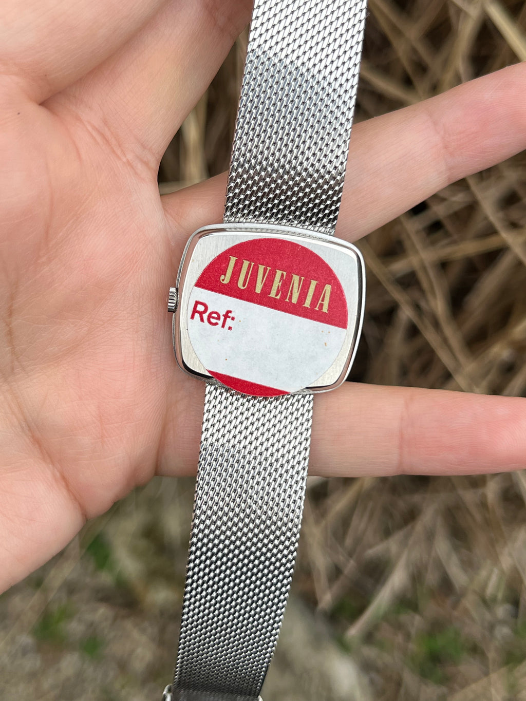 Juvenia - 1960's Brushed Steel Case