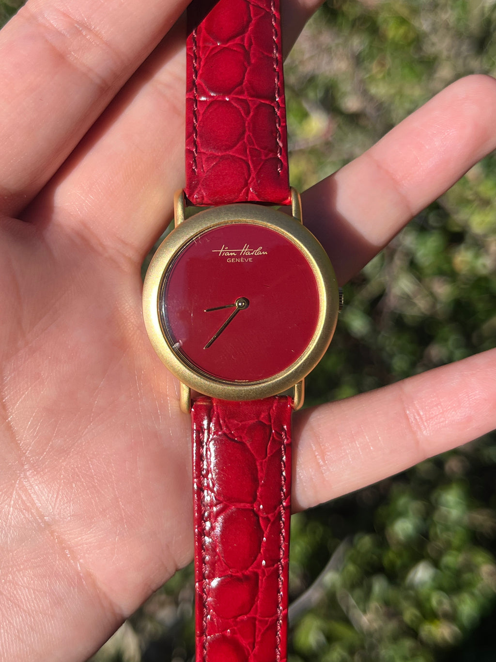 Tian Harlan - ca 1982 Chromachron