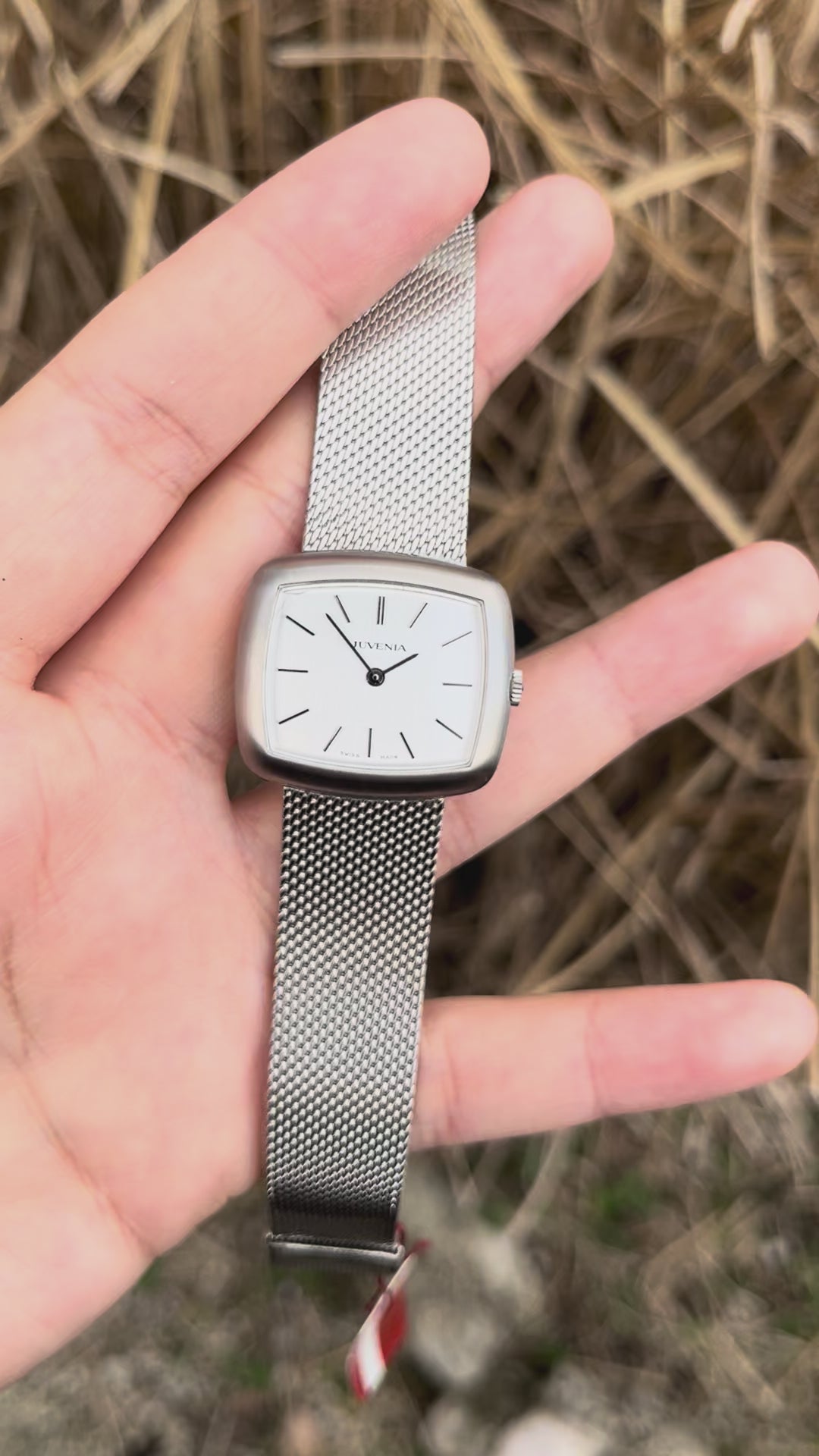 Juvenia - 1960's Brushed Steel Case