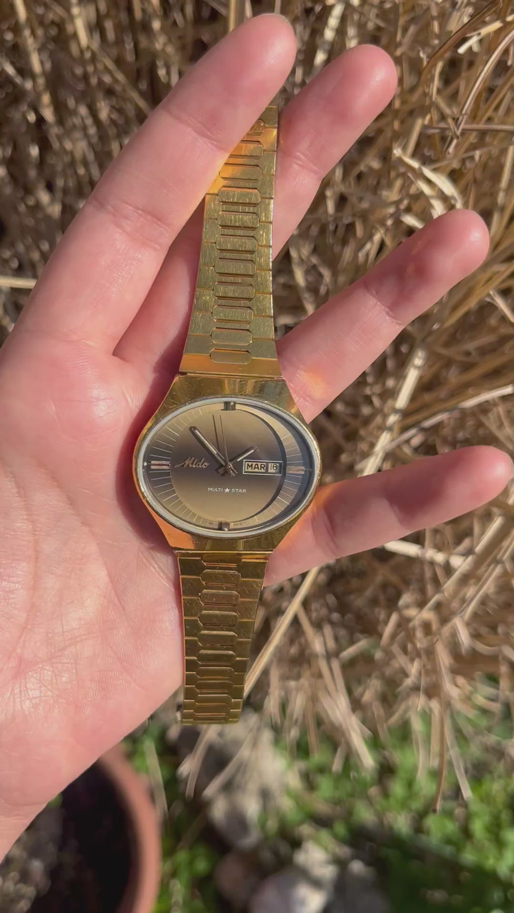 Mido - 1970's Multi-Star