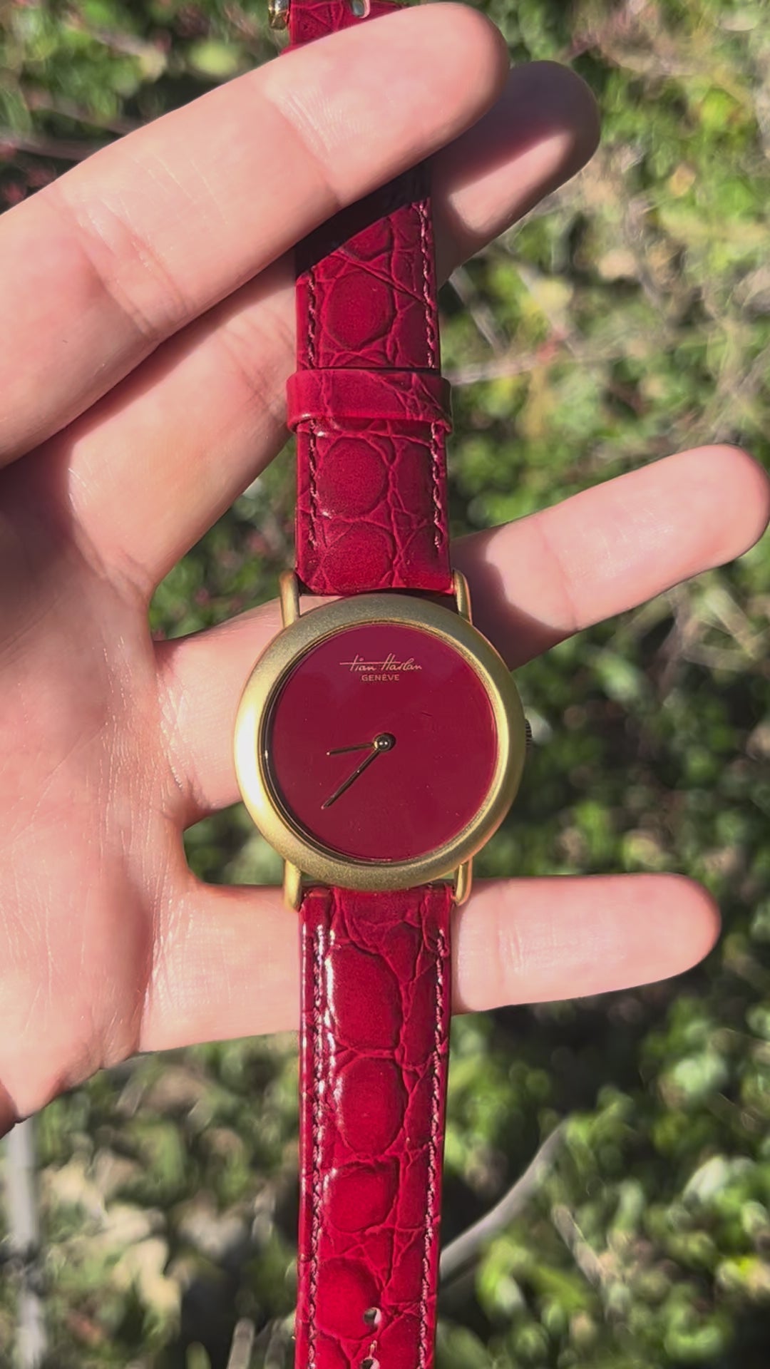 Tian Harlan - ca 1982 Chromachron